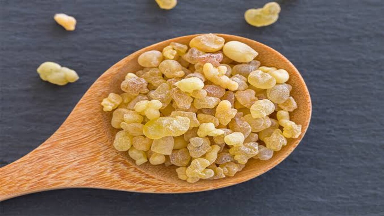ماسك لبان الدكر