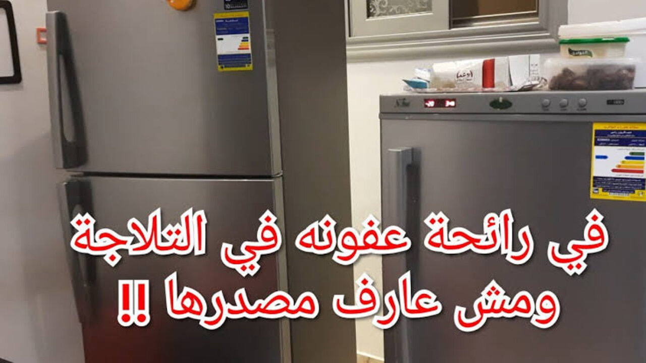 طريقة تنظيف الثلاجة