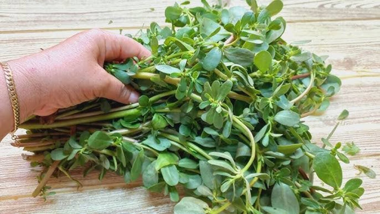 وصفة الرجلة للبشرة