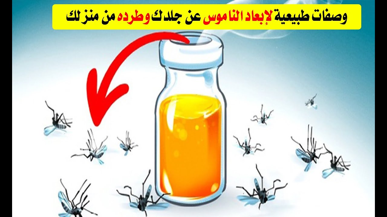 "هيختفي نهائي" طرق طرد الناموس من البيت بوصفات طبيعية