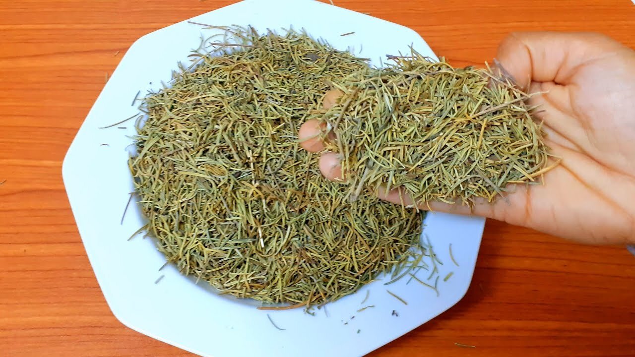 وصفة نبات السدر لتفتيح الجسم