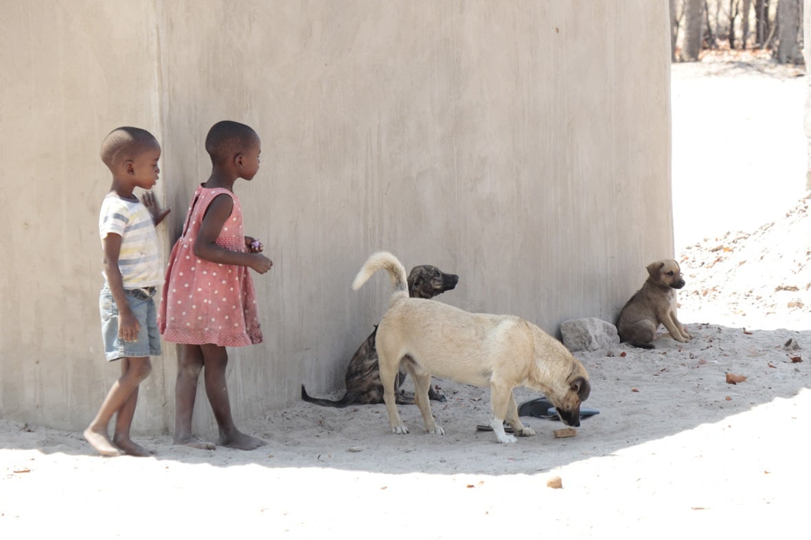 namibia utilises one health for rabies control 2.tmb 1200v