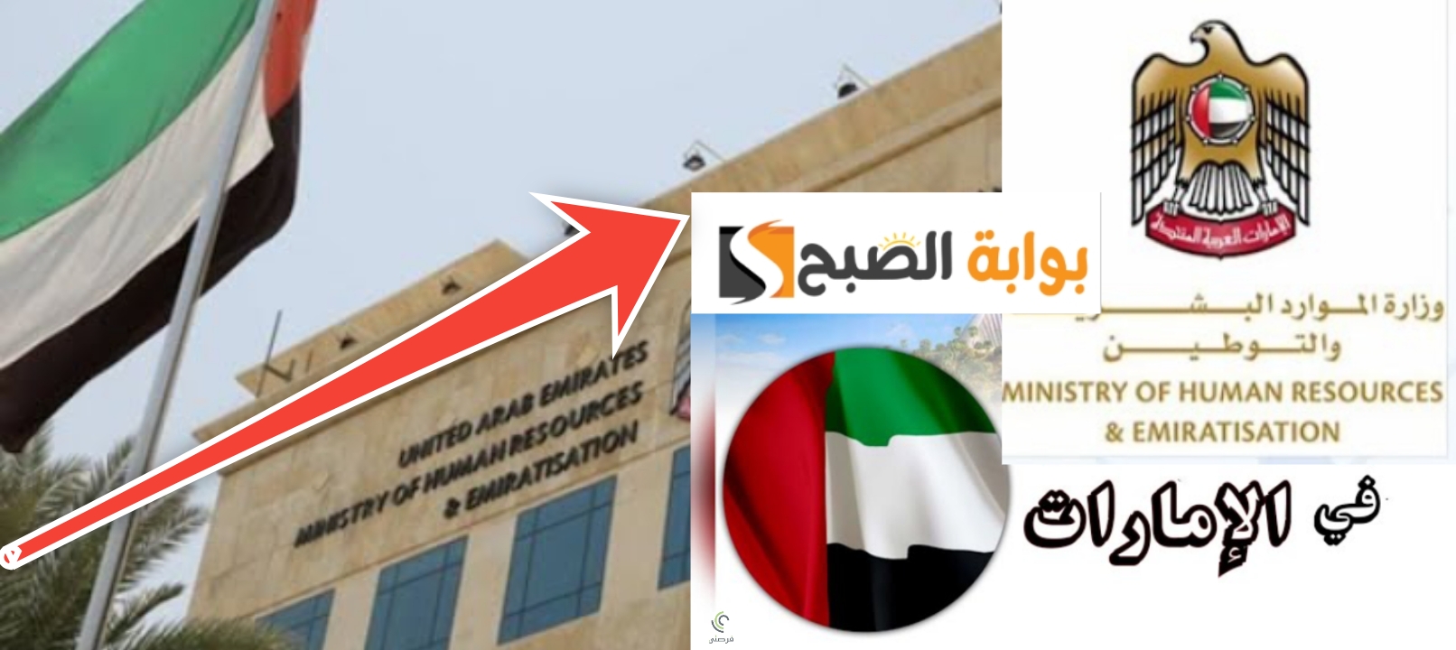 أسباب رفض تصريح العمل في الإمارات 2024
