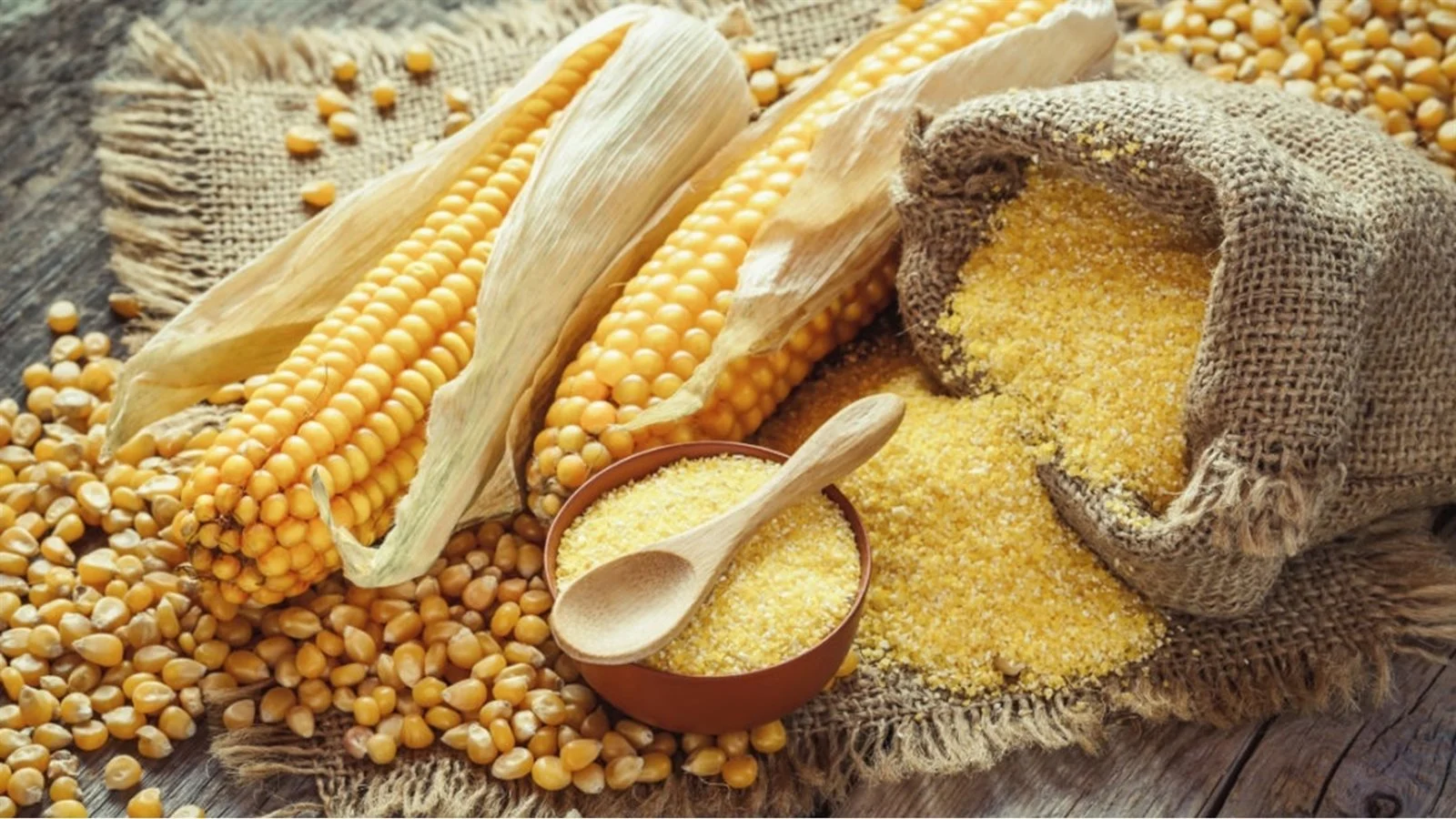 أسعار الأعلاف اليوم