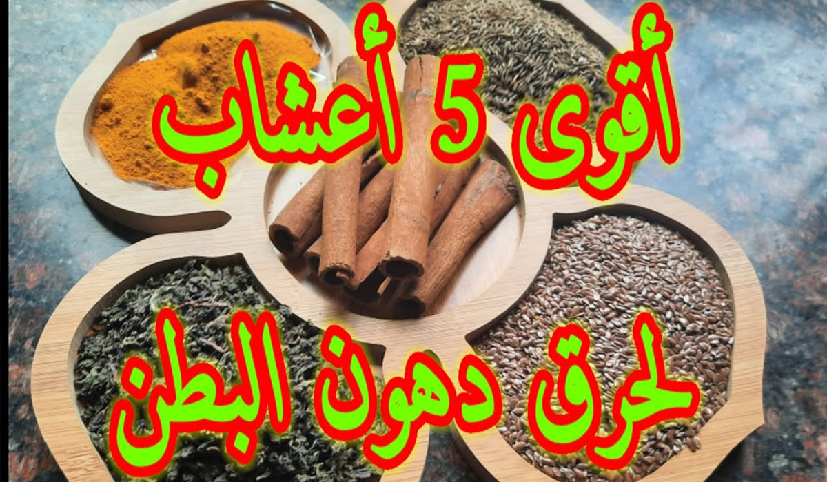 أعشاب لحرق دهون البطن