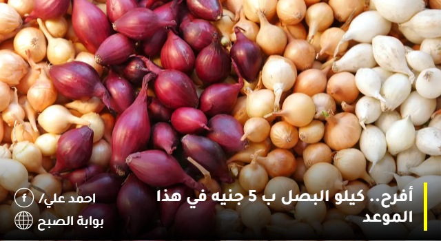 أفرح.. كيلو البصل ب 5 جنيه في هذا الموعد