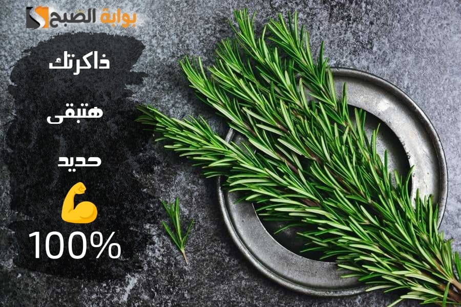 أكليل الجبل لعلاج ضعف الذاكرة