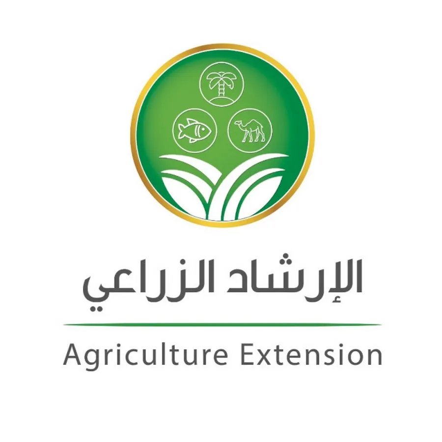 المواشي