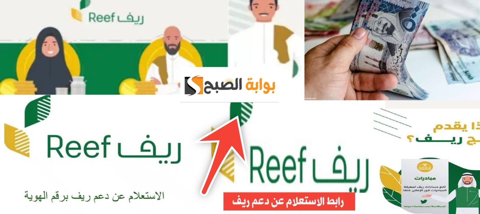 الاستعلام عن دعم ريف