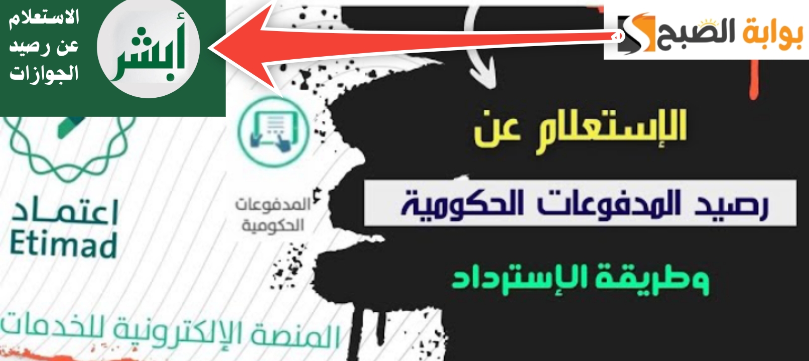 الاستعلام عن رصيد الجوزارات