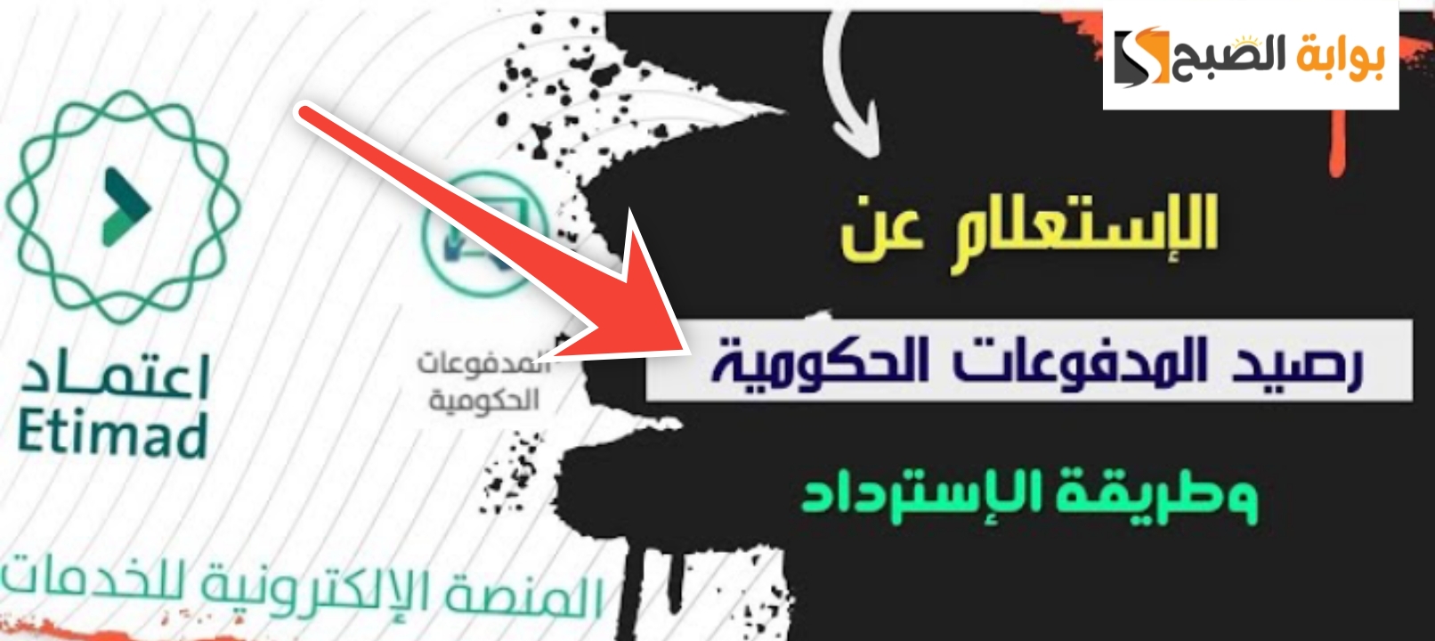 الاستعلام عن رصيد المدفوعات