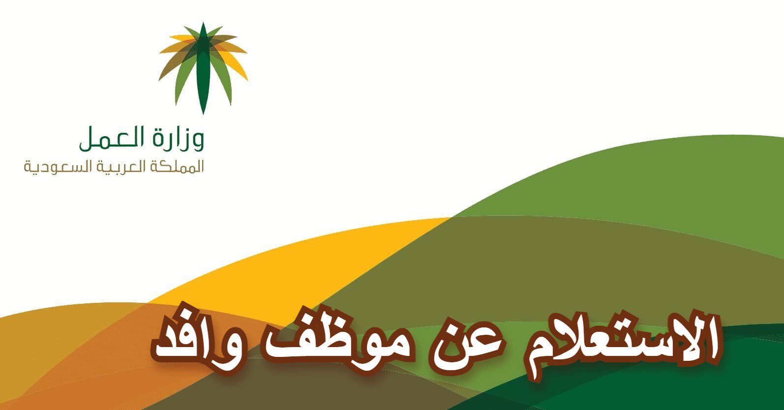 خطوات الاستعلام عن وافد