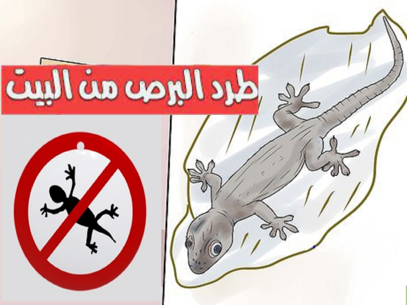 القضاء علي البرص