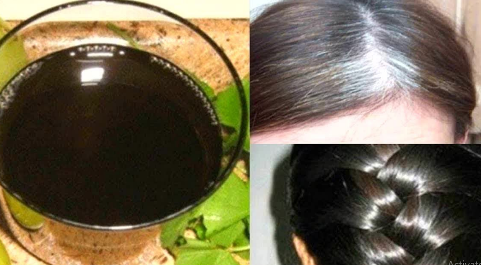 طرق التخلص من الشيب بطرق طبيعية.. وما هو الزيت الذي يمنع ظهوره؟
