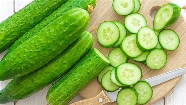 زراعة الخيار في البيت