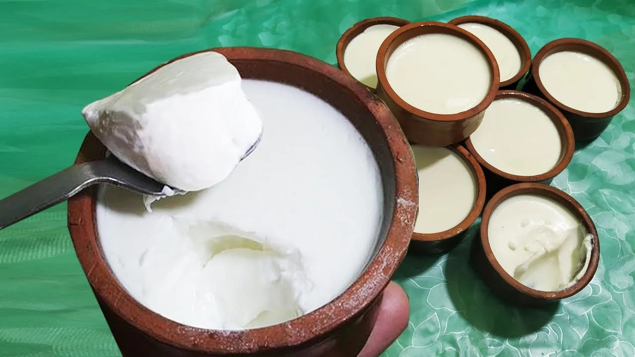 طريقة عمل الزبادي في المنزل