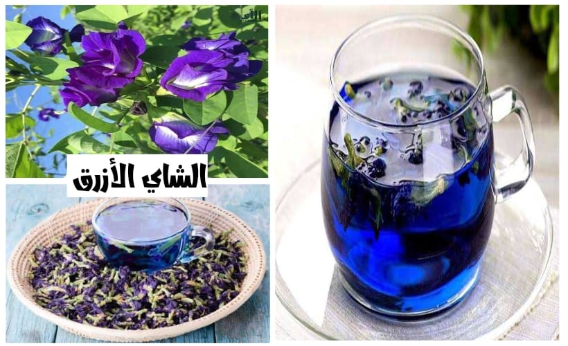 الشاي الأزرق