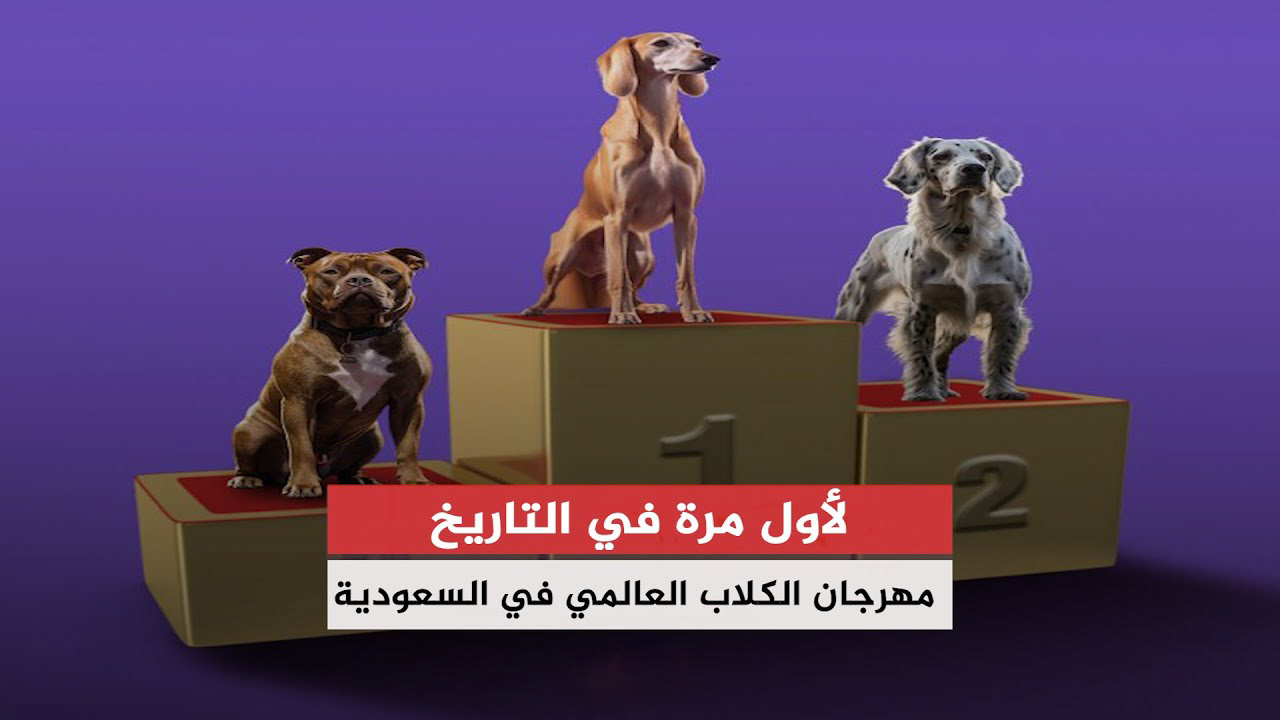 المهرجان العالمي للكلاب