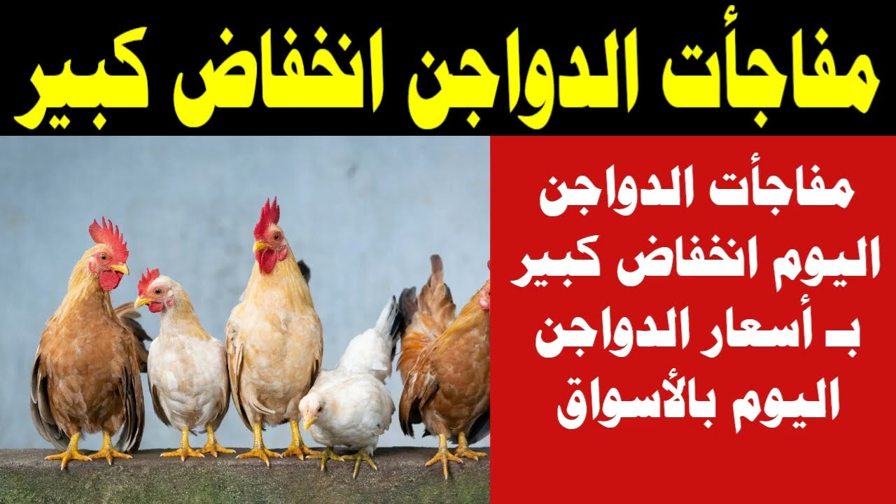 انخفاض أسعار الدواجن
