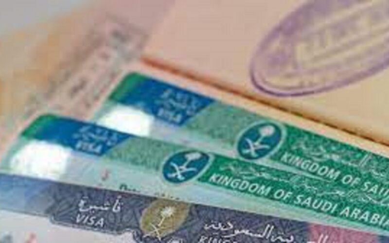 تأشيرة مستثمر زائر ١٤٤٥