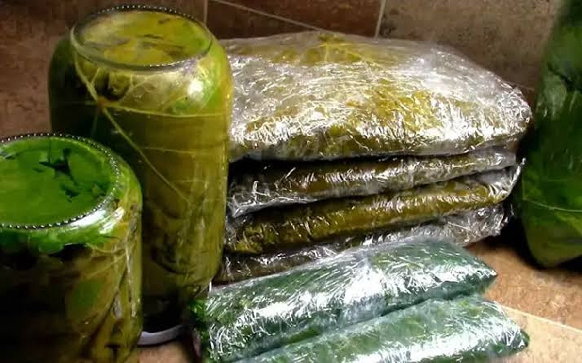 تخزين ورق العنب