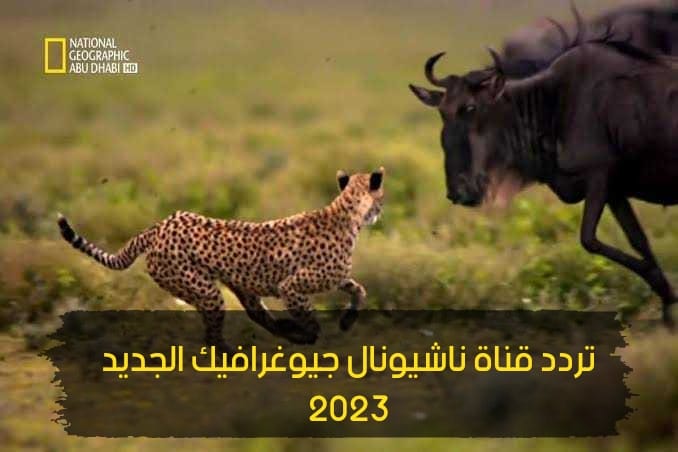 تردد قناة ناشيونال جيوغرافيك الجديد