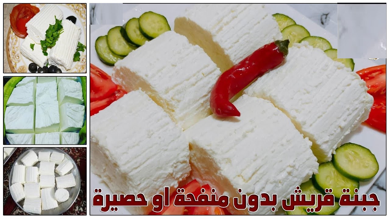 طريقة عمل الجبن القريش في البيت