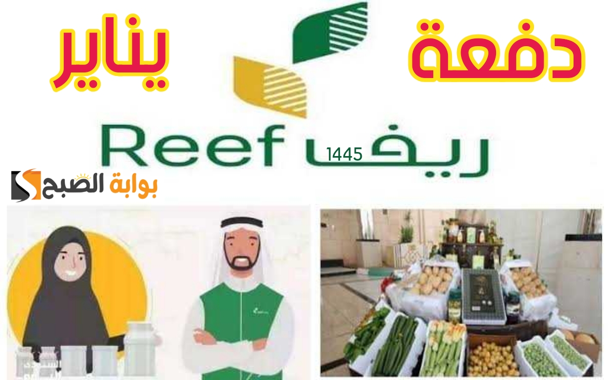 دعم ريف دفعة يناير 1445