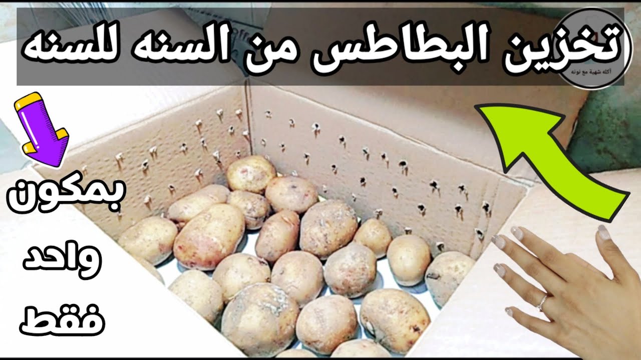 سر من أسرار التجار. طريقة تخزين وحفظ البطاطس من السنه للسنه بدون ما يتغير لونها ولا طعمها12