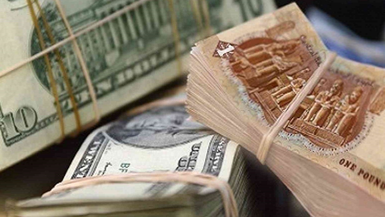 سعر الدولار أمام الجنيه