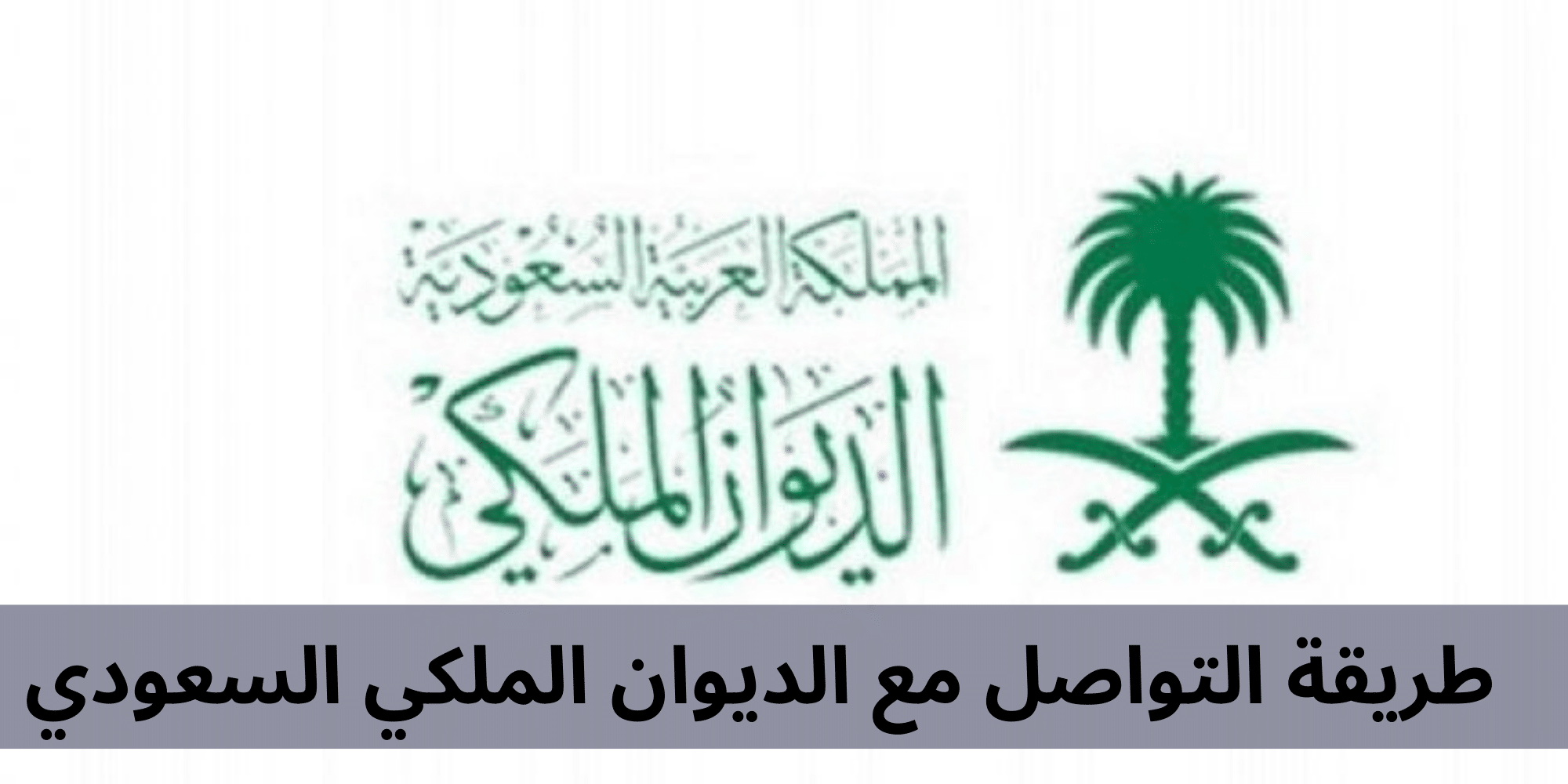 شروط طلب منحة أرض من الديوان الملكي