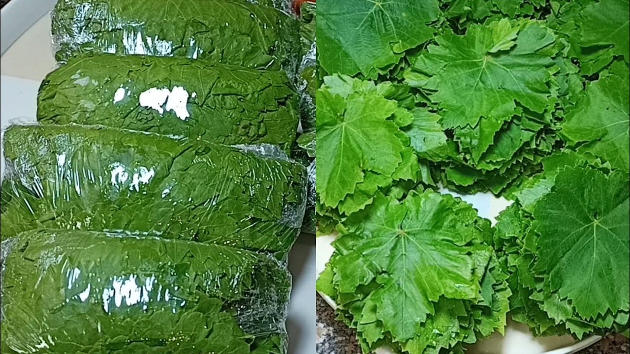 طريقة تخزين ورق العنب بدون سلق