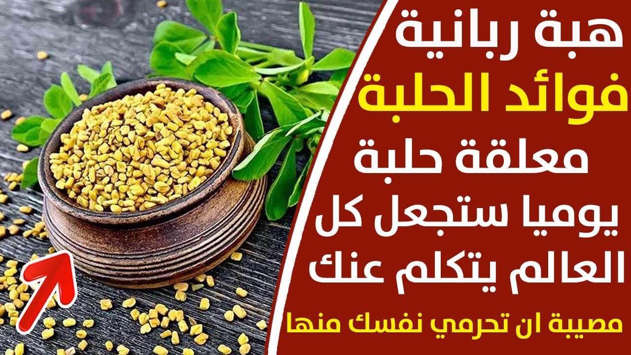 ما هي فوائد الحلبة