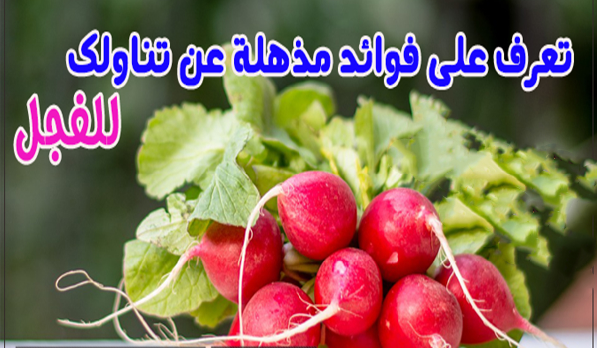 فوائد الفجل