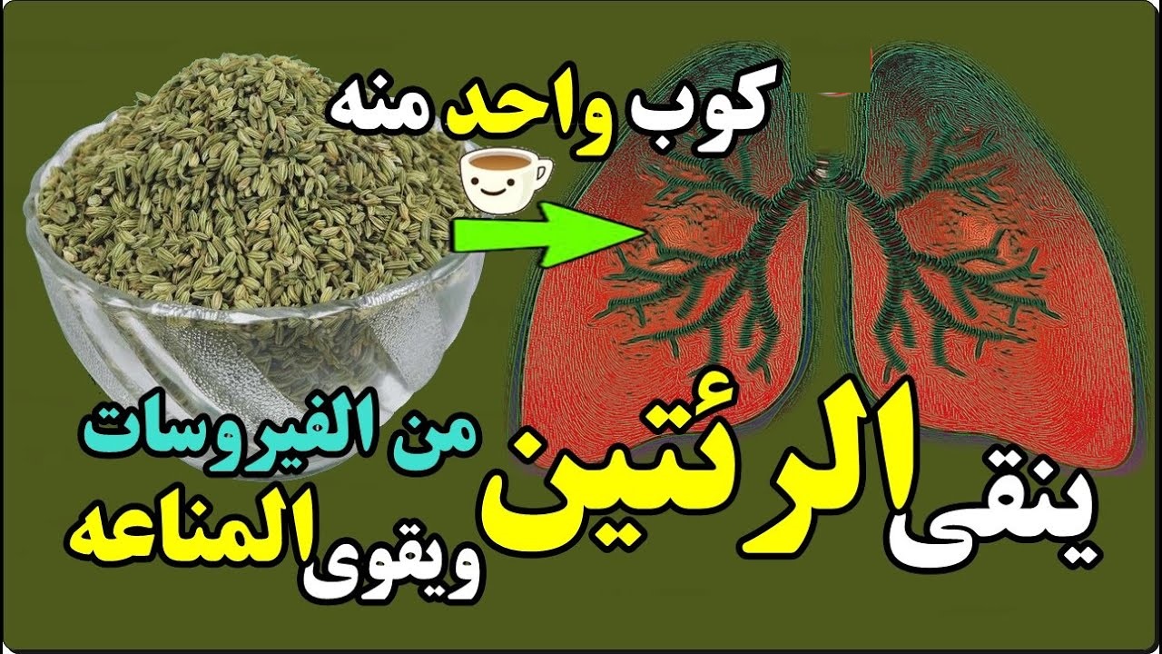 فوائد حبة البركة