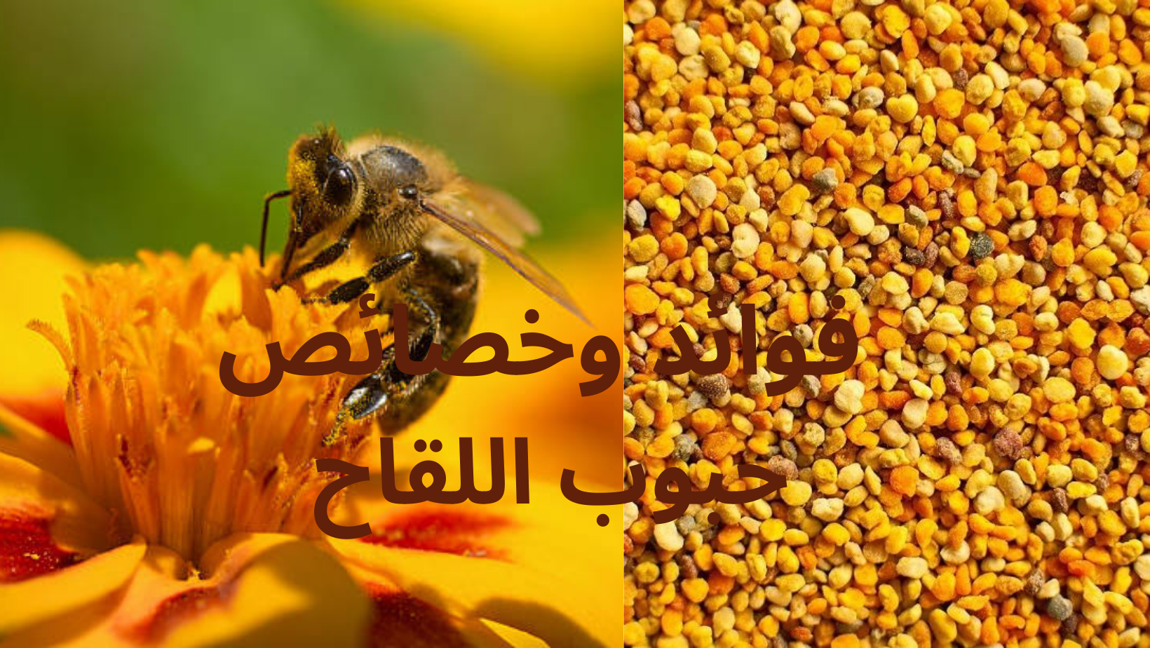 حبوب لقاح النحل