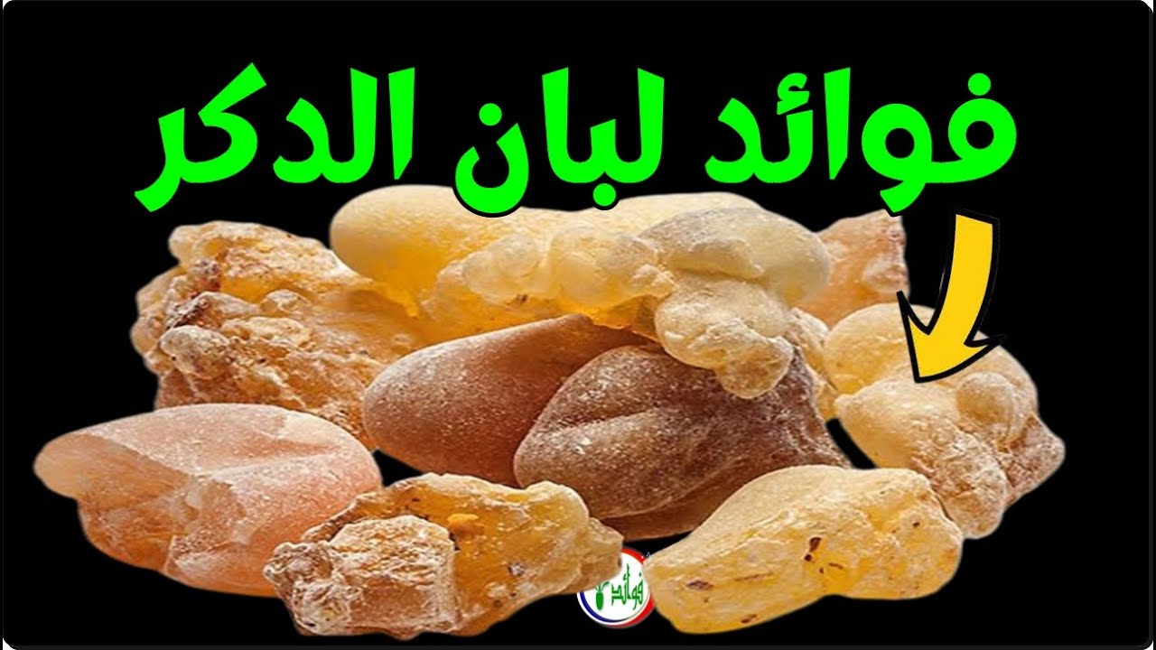 فوائد لبان الذكر