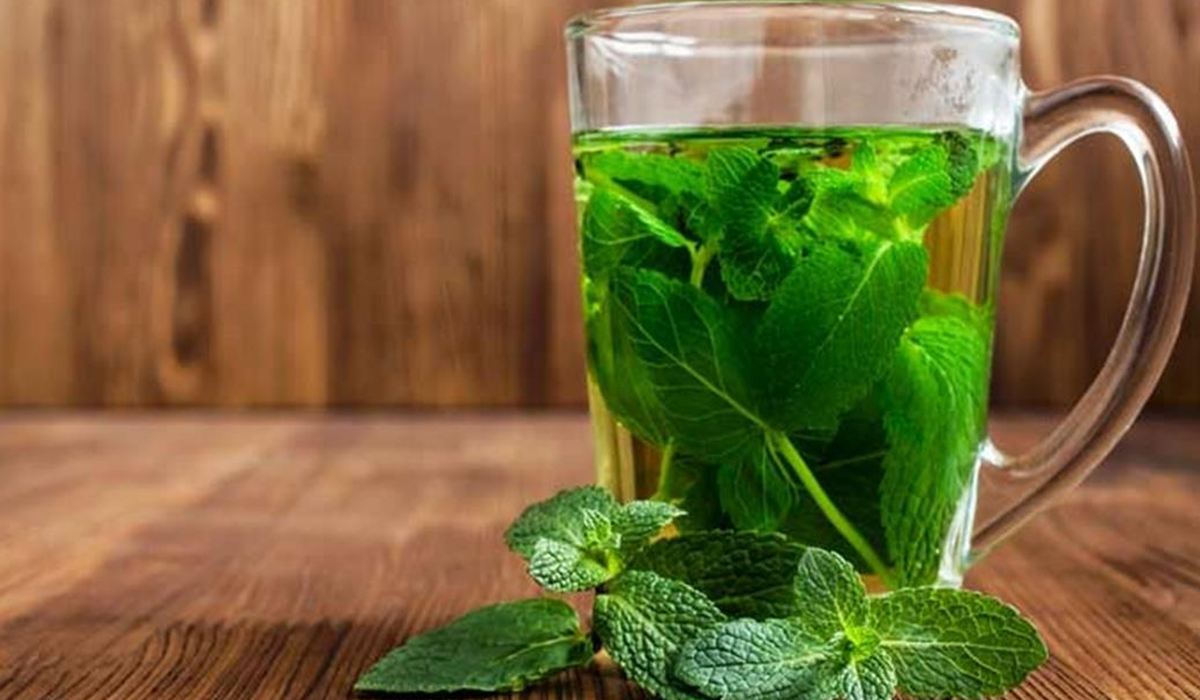 فوائد مشروب النعناع الدافئ