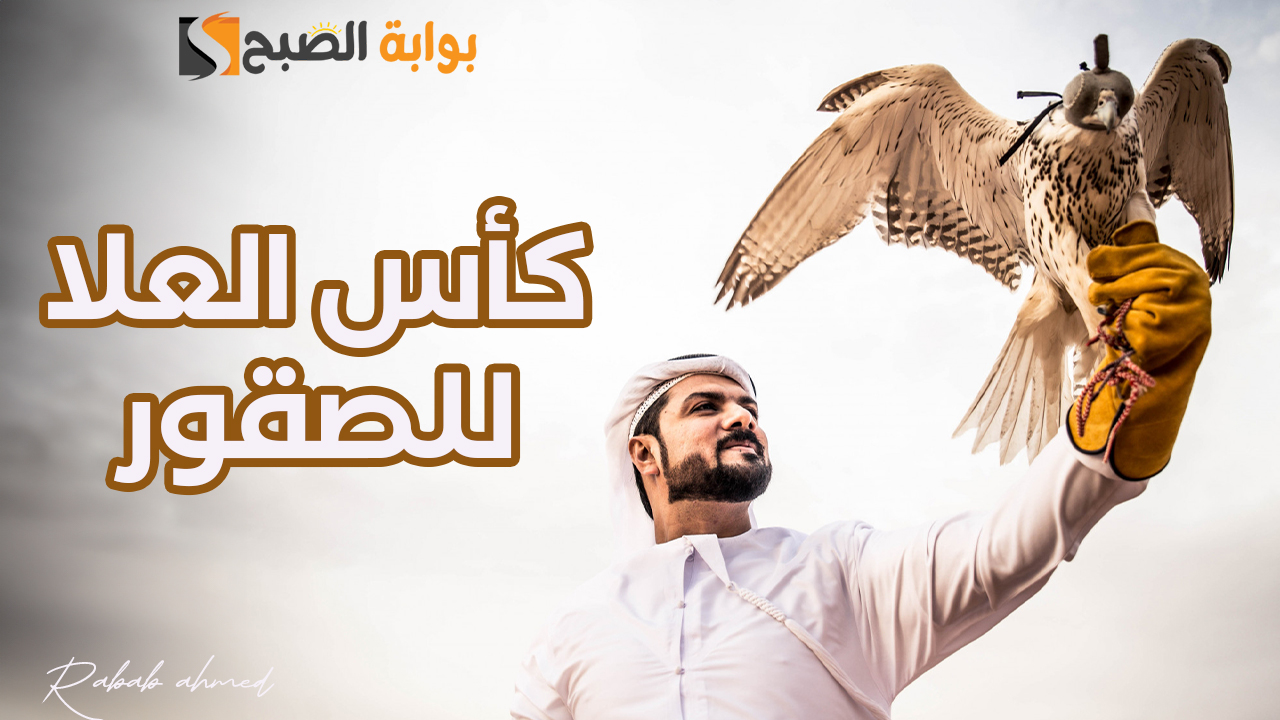 كأس العلا للصقور