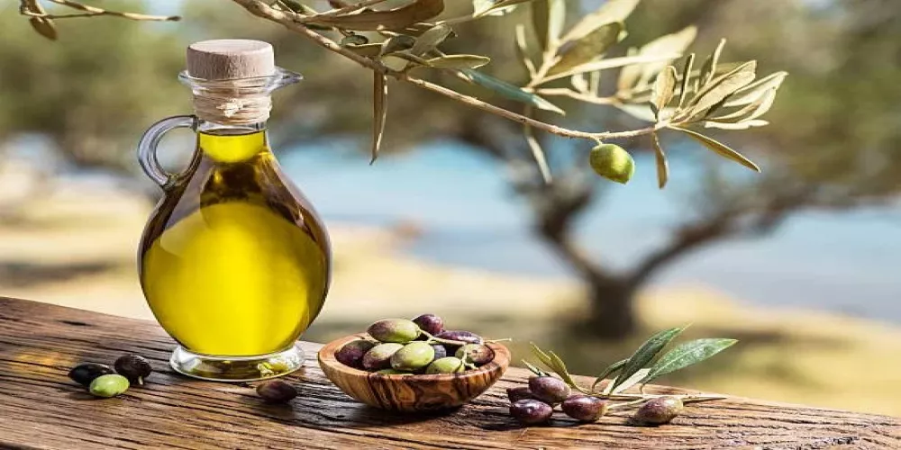 ما هي فوائد تناول زيت الزيتون على الريق وأهميته عند دهن الوجه به