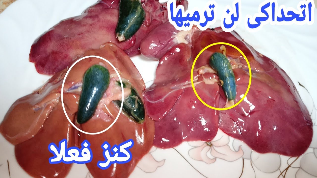 مرارة الفراخ