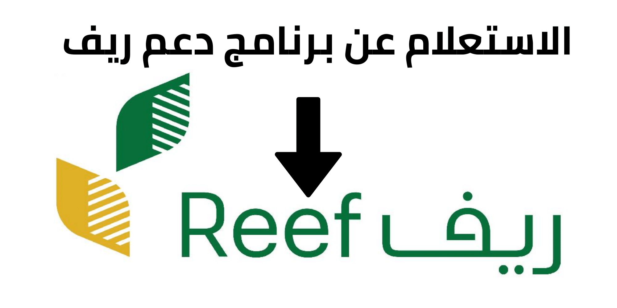 استعلام دعم ريف