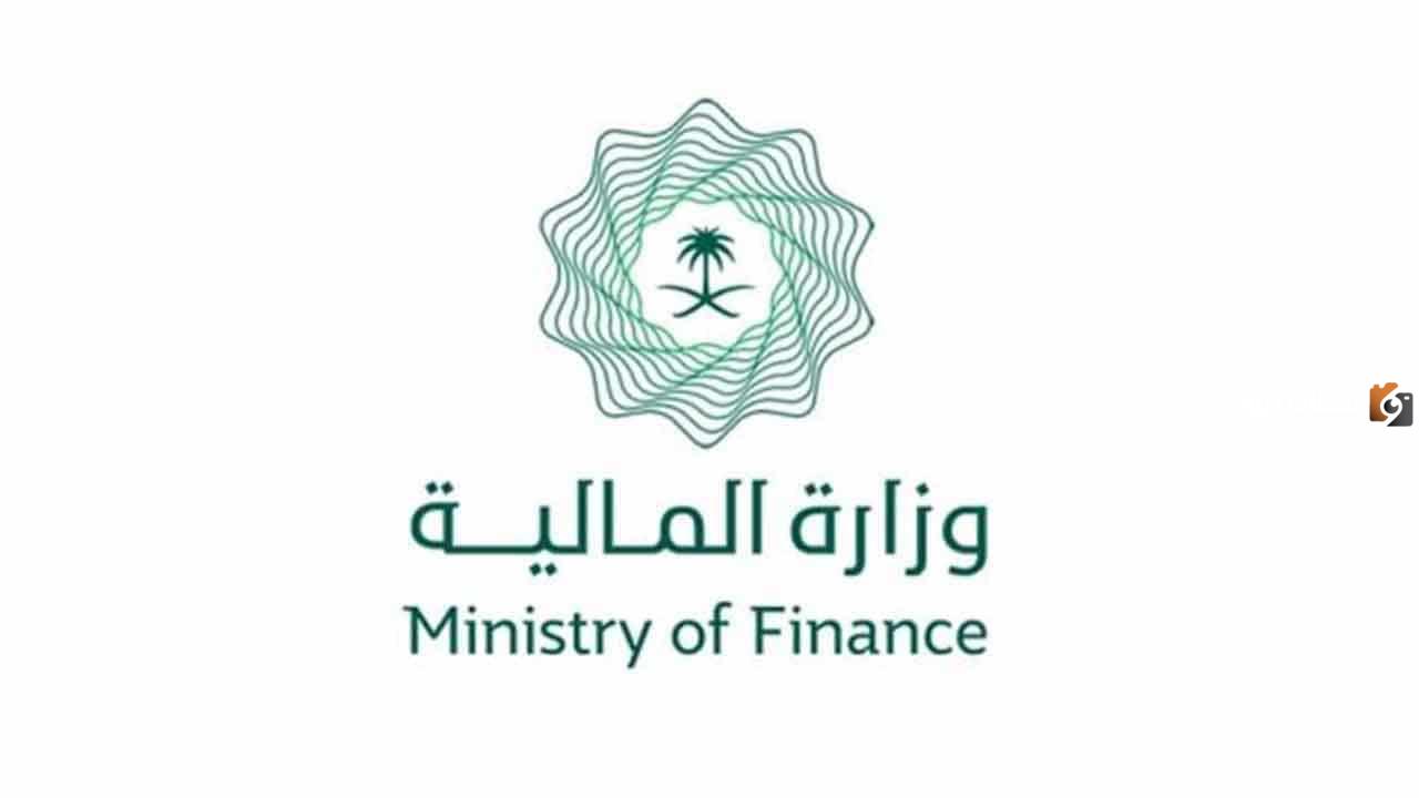 الاستعلام عن العوائد السنوية