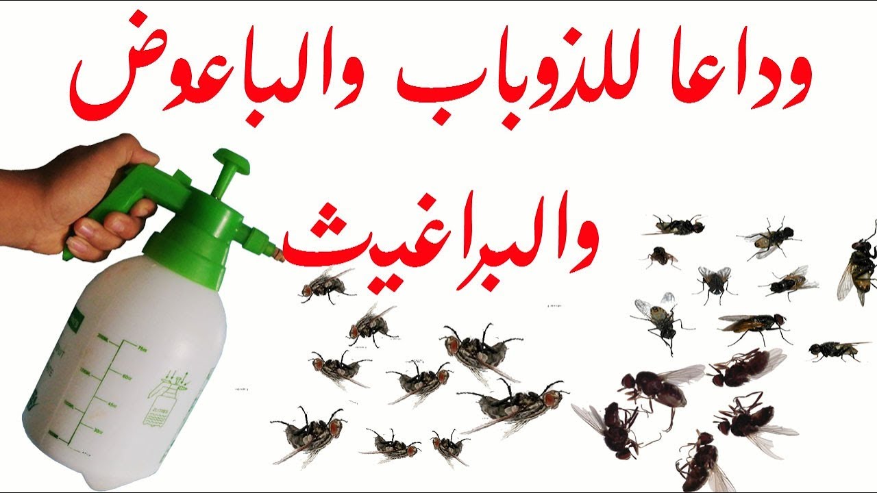وصفة النشادر لطرد الناموس والذباب 1