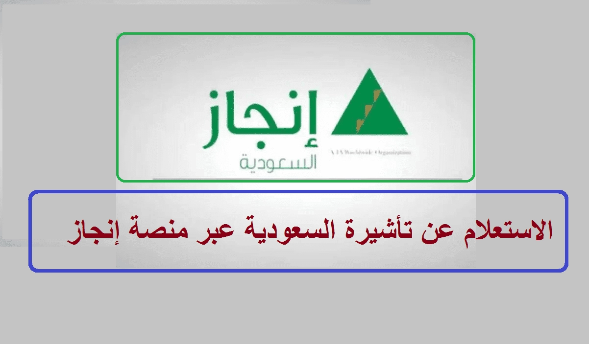 01 12 23 669331580