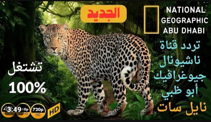 تردد قناة ناشيونال جيوغرافيك الجديد