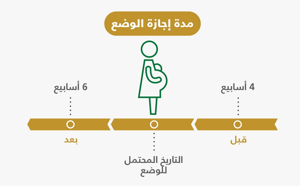 مدة إجازة المولود