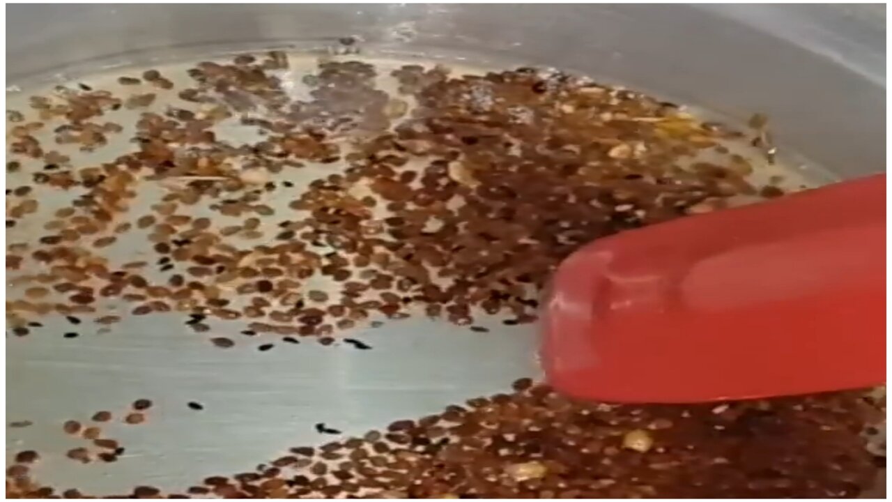 1705499608537