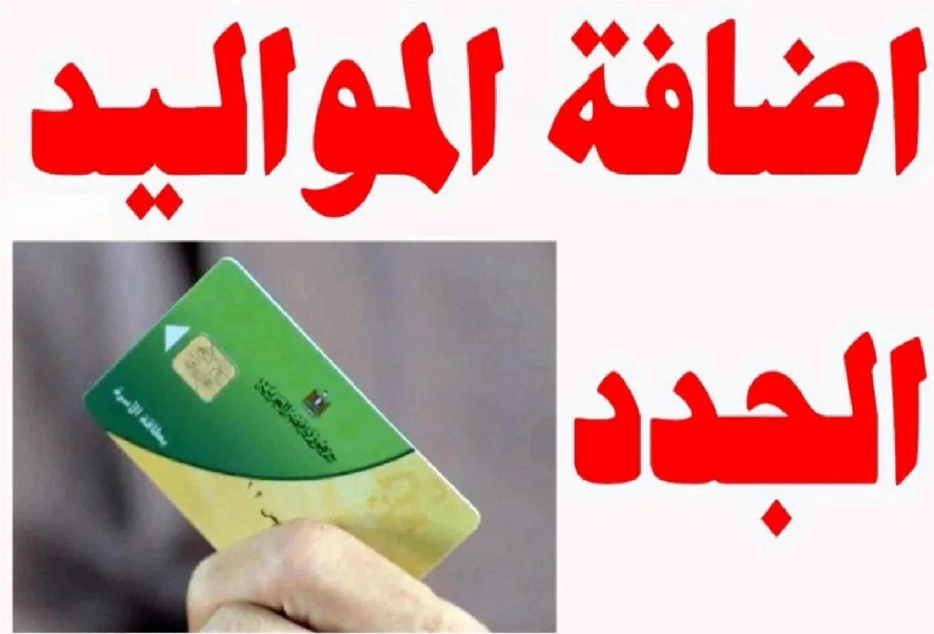 إضافة المواليد على بطاقة التموين
