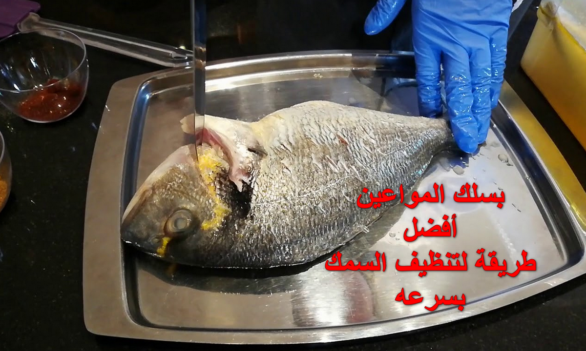 طريقة تنظيف السمك